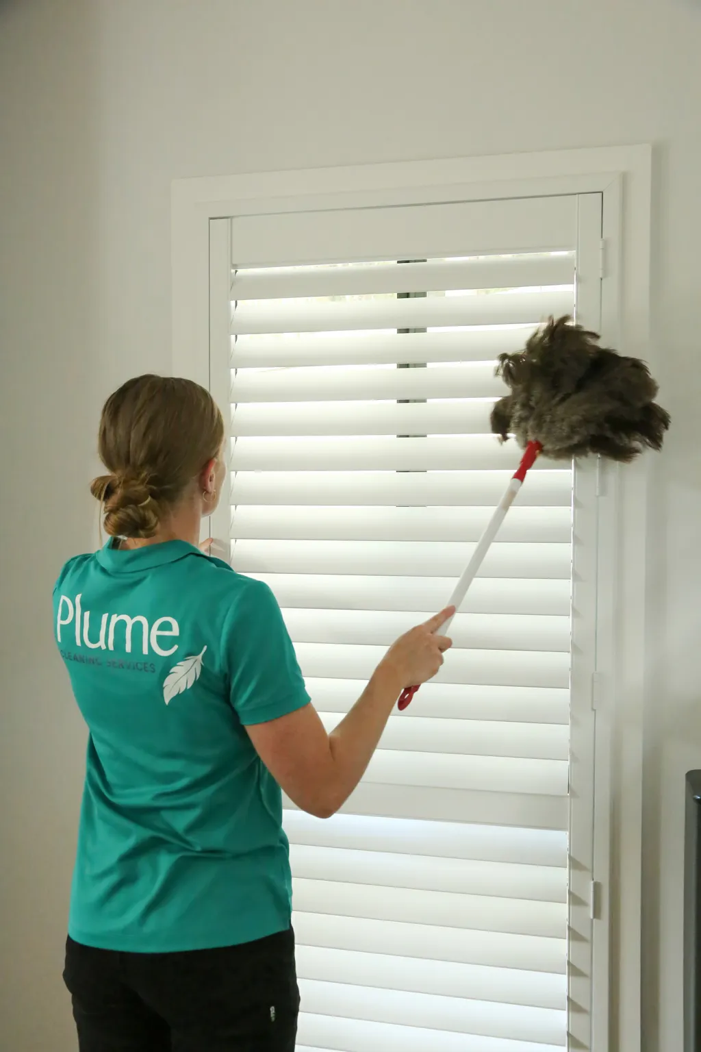 Alice cleaning shutters